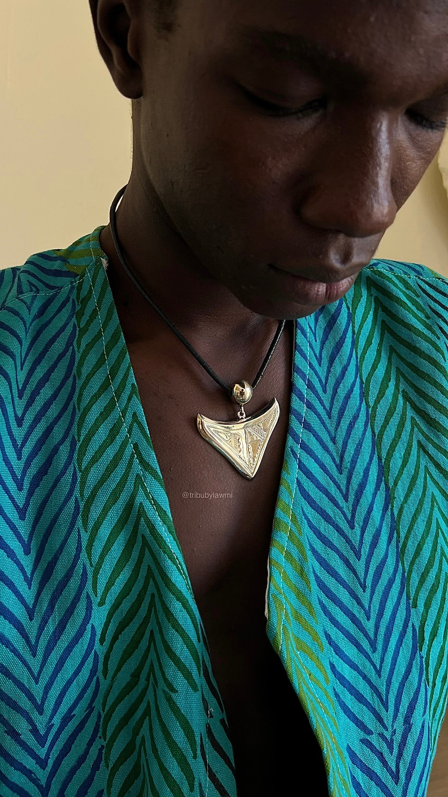 ANTRI (édition limitée)